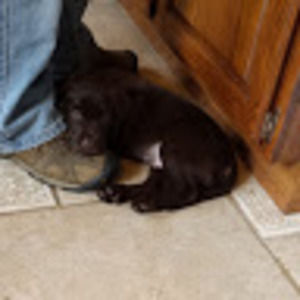 Meet your Posher, Elise